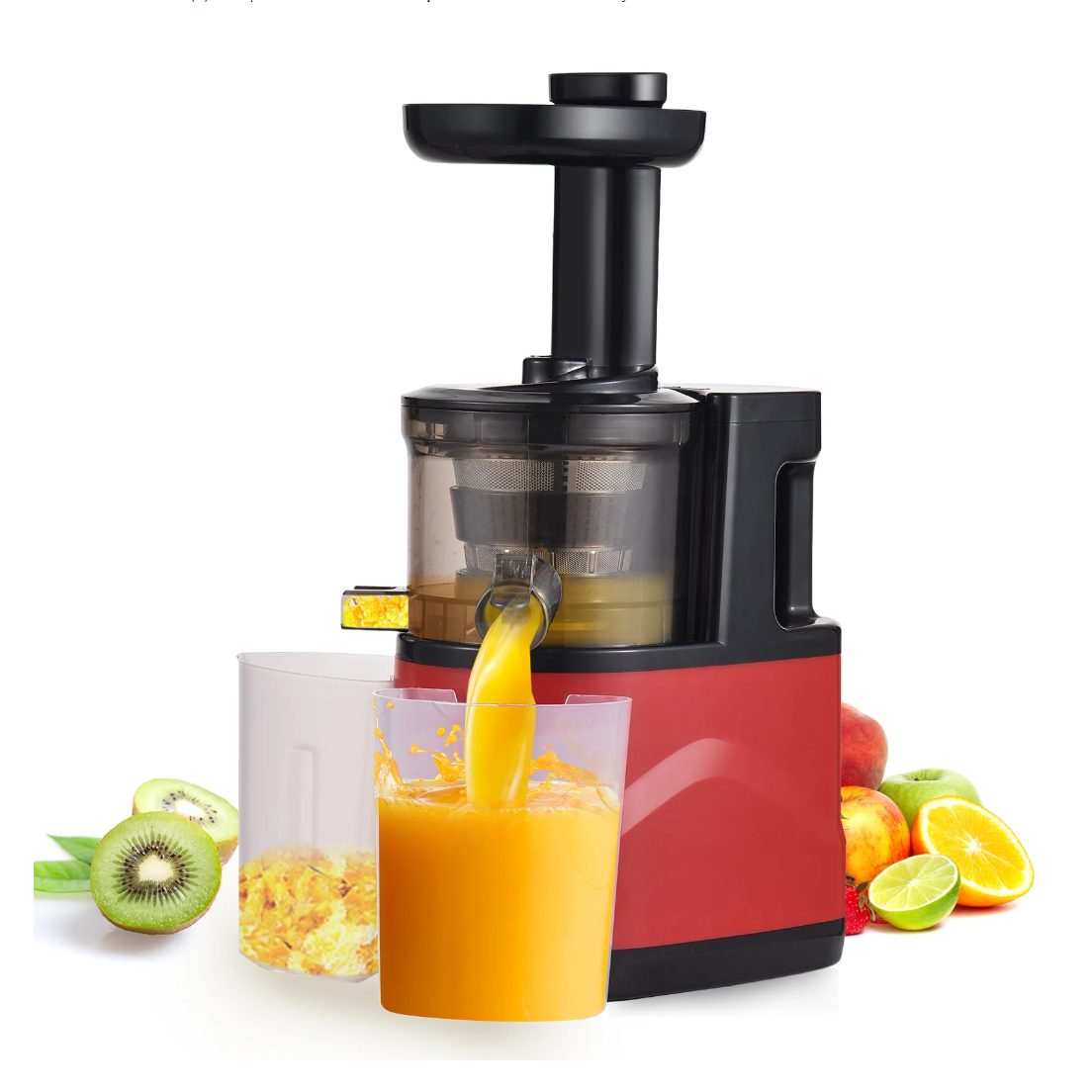 Slow Masticating Juicer Extractor